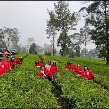 Homestay Ngaso Dalem Wonosobo Kültér fotó